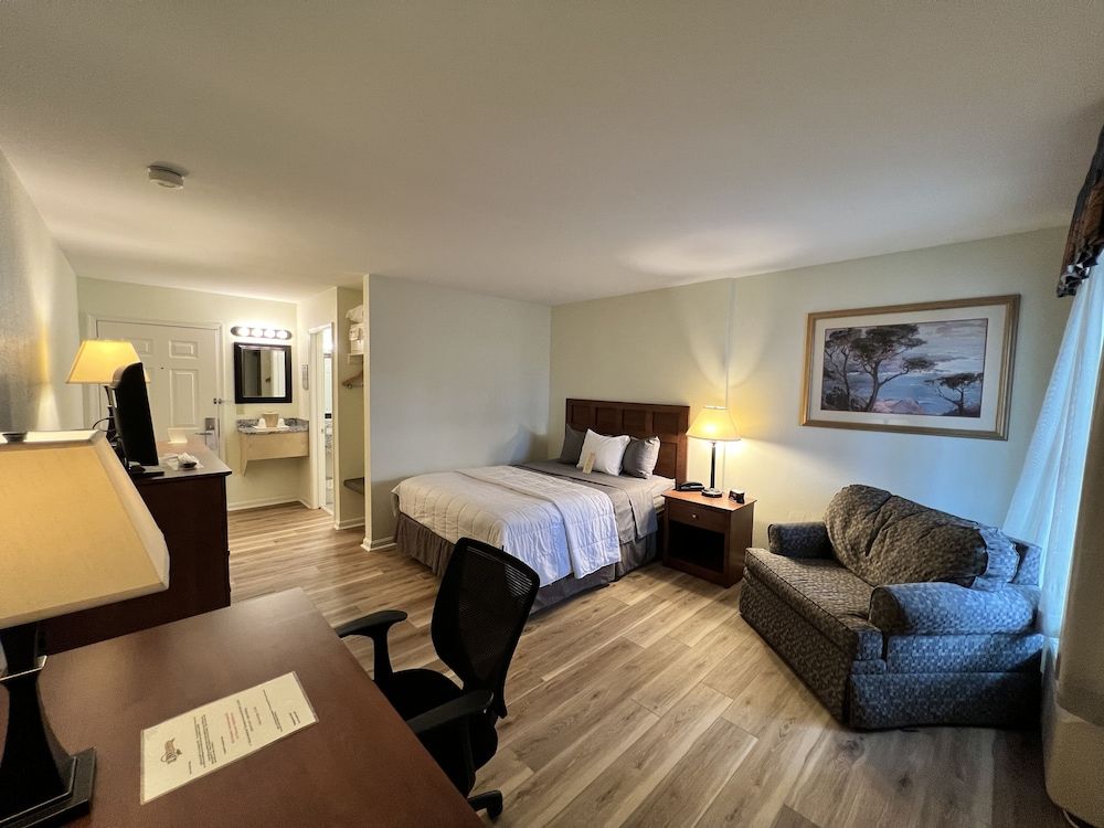 Room, 1 Queen Bed with Sofa bed, Non Smoking (Veranda No Pets)