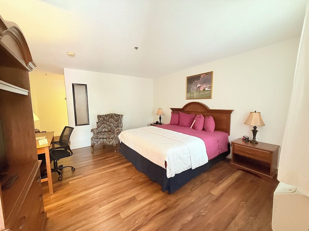Room, 1 King Bed, Non Smoking (Pet Friendly)