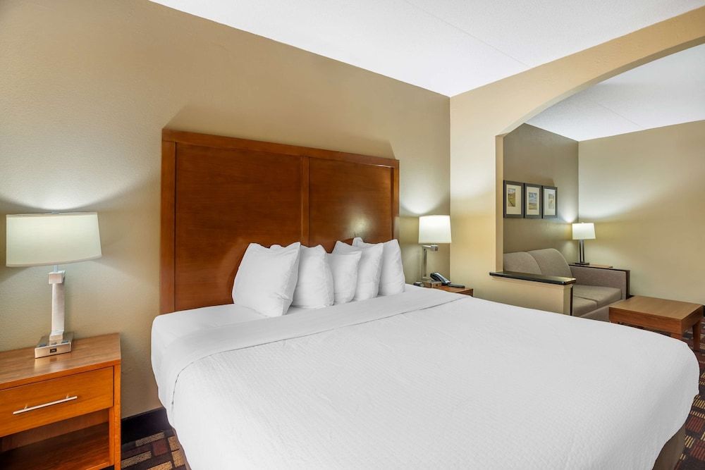 Suite, 1 King Bed, Accessible, Jetted Tub (with Single Sofabed)