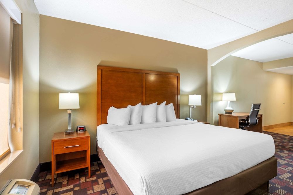 Suite, 1 King Bed, Non Smoking, Jetted Tub (with Single Sofabed)