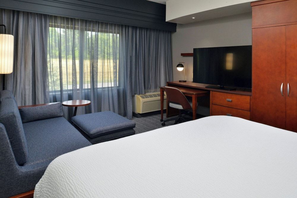 Room, 1 King Bed with Sofa bed