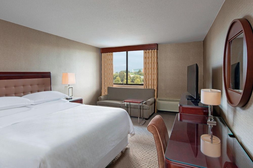 Deluxe Room, 1 King Bed with Sofa bed, Non Smoking