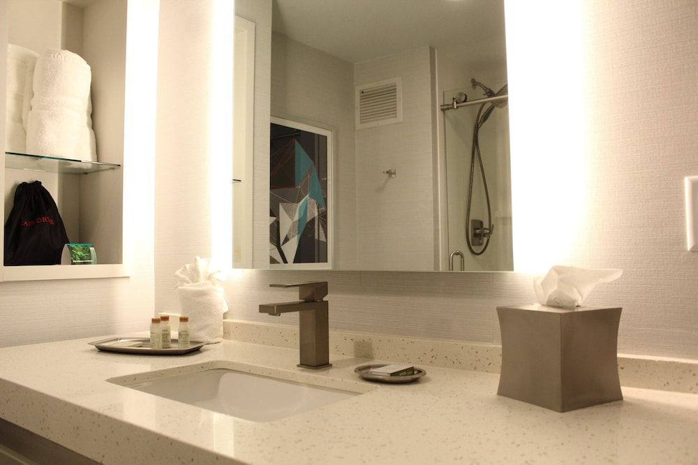 Suite, 1 King Bed, Roll-in Shower (Roll-In Shower)