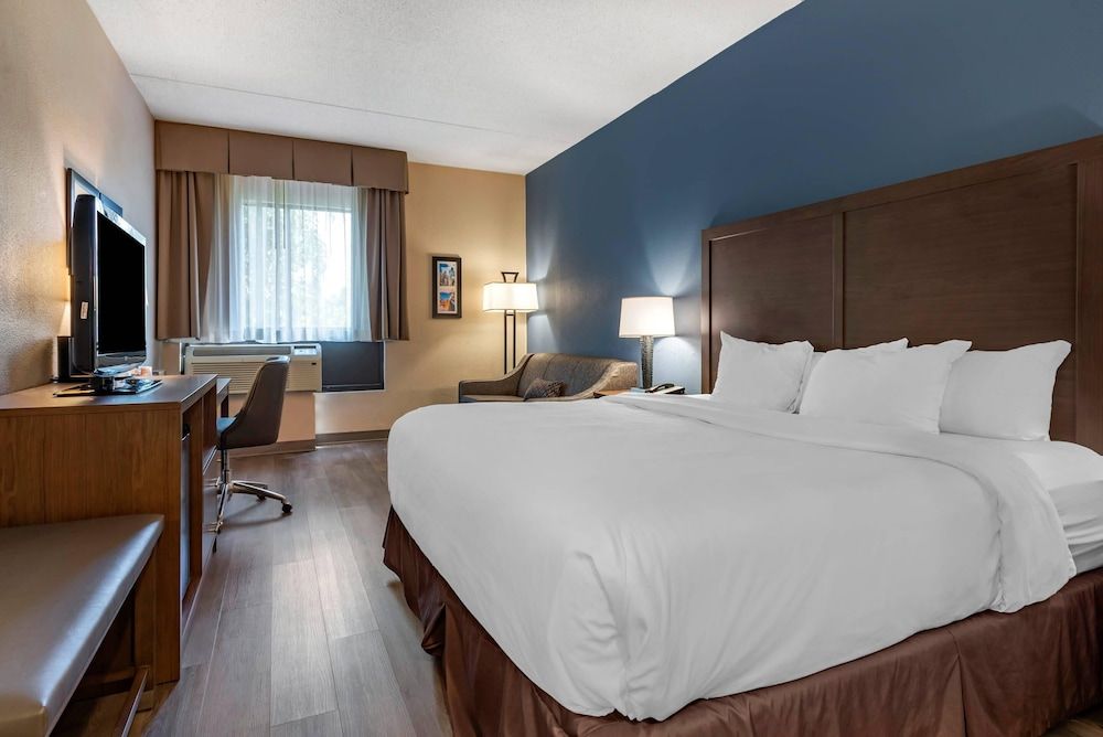 Room, 1 King Bed, Non Smoking (Upgrade)