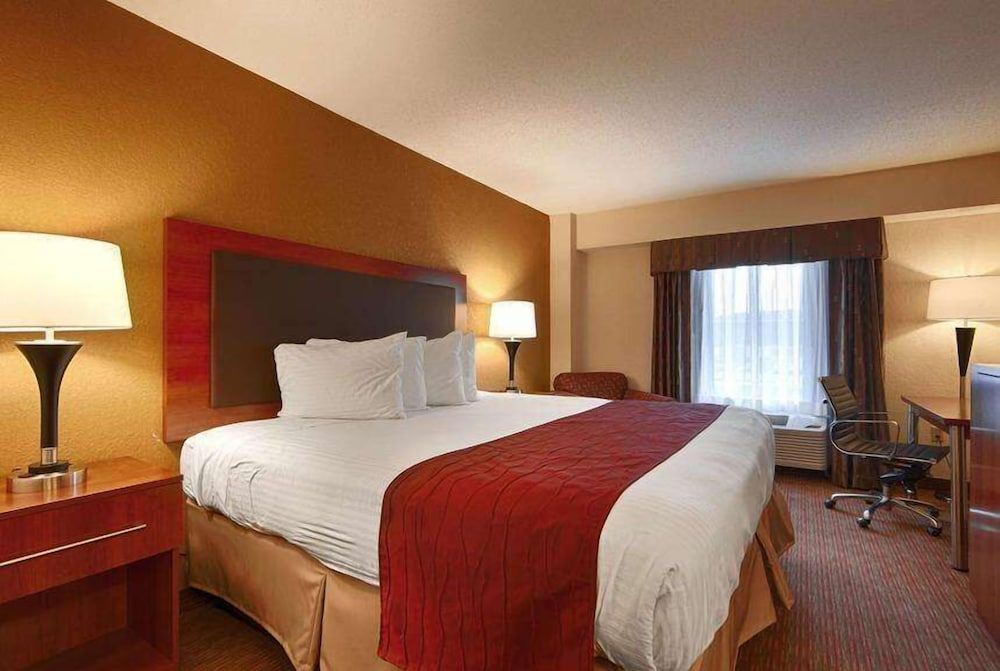 Room, 1 King Bed with Sofa bed, Non Smoking