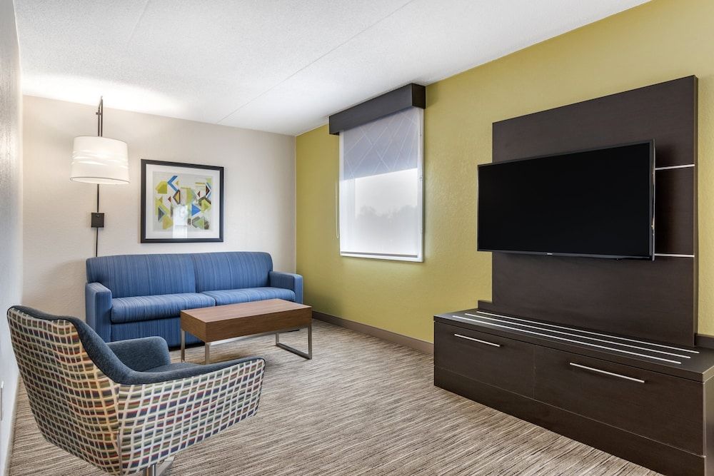Suite, 1 King Bed with Sofa bed
