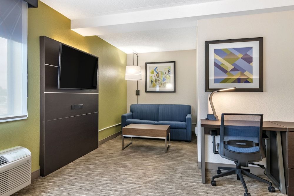 Suite, 1 King Bed with Sofa bed