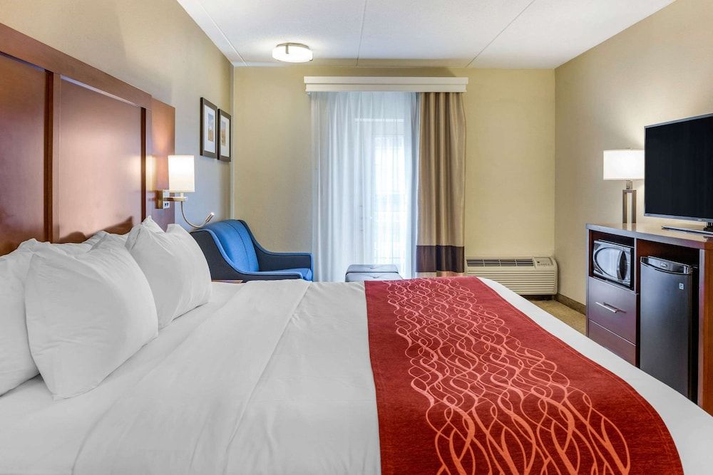 Standard Room, 1 King Bed with Sofa bed, Non Smoking