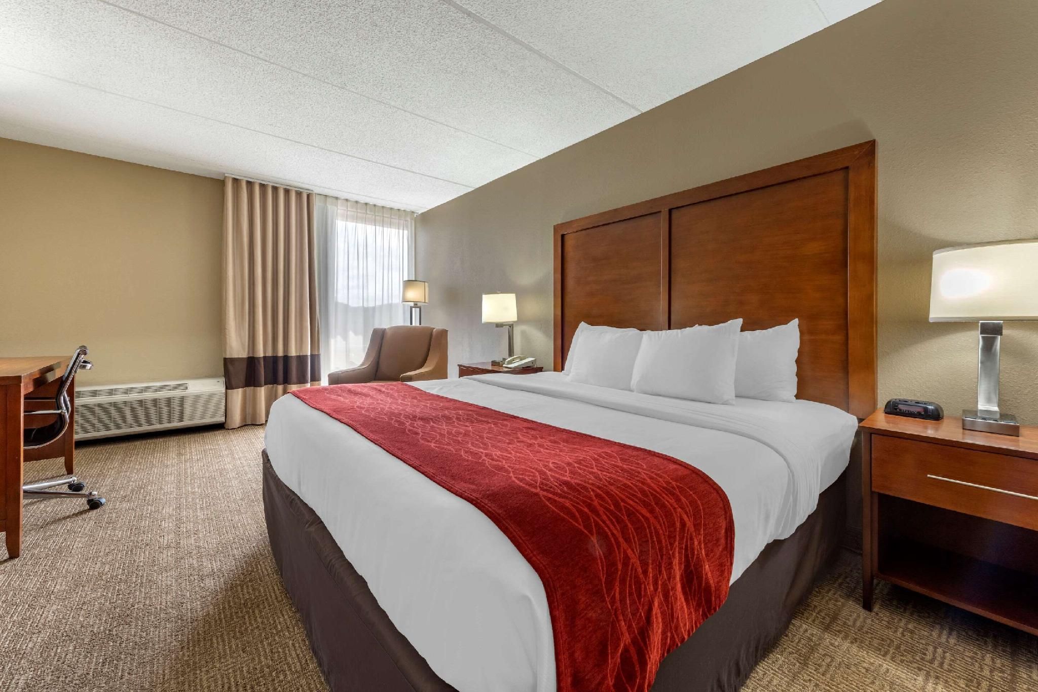 1 King Bed, Nonsmoking