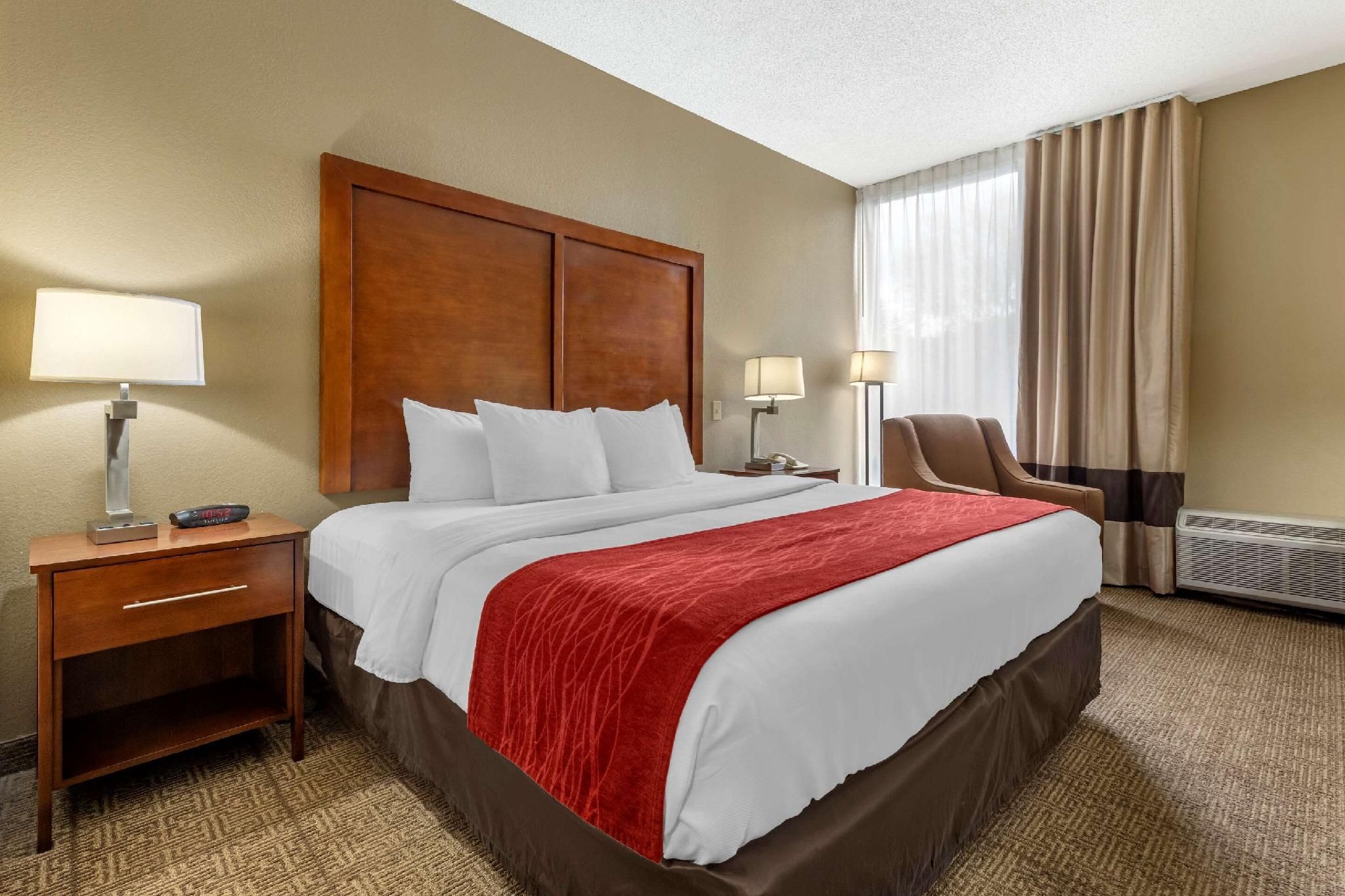 1 King Bed, Nonsmoking, Accessible