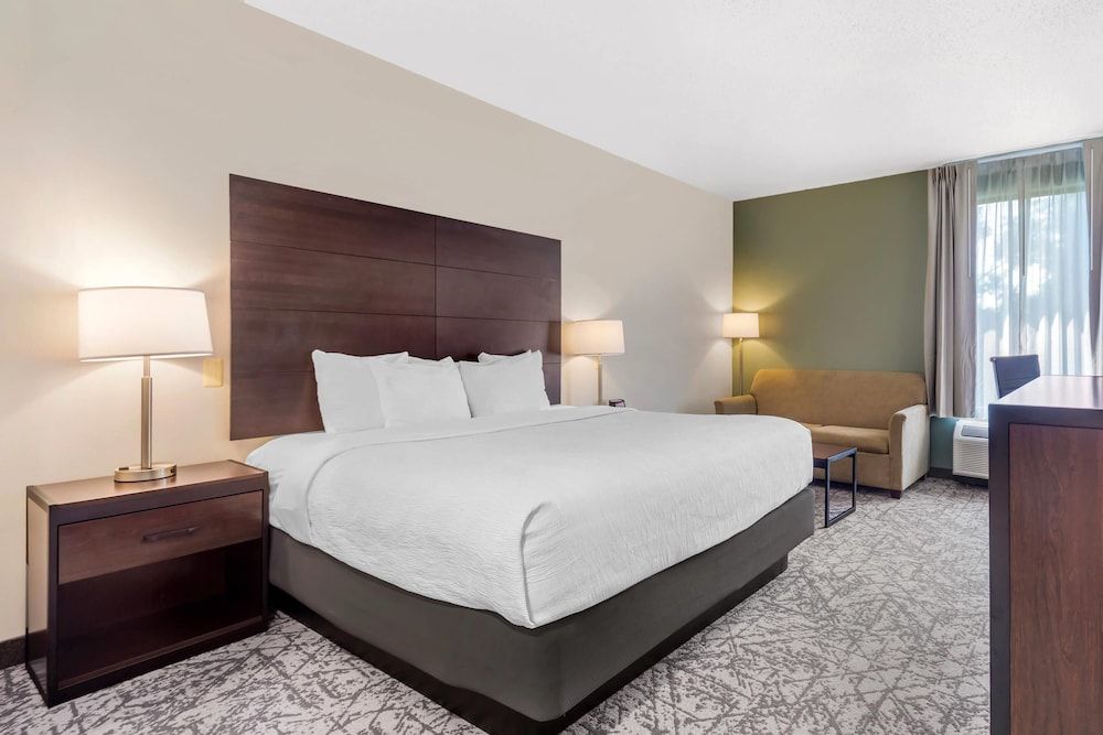 Standard Room, 1 King Bed, Non Smoking
