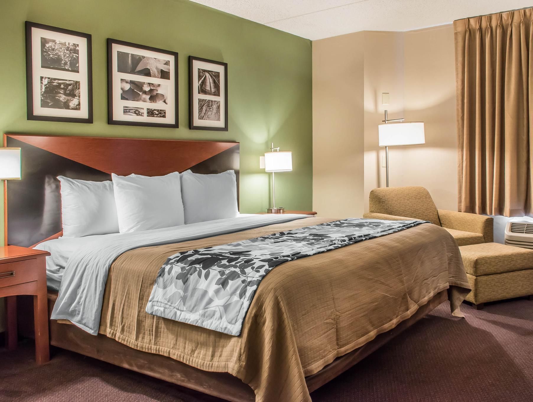 1 King Bed Nonsmoking