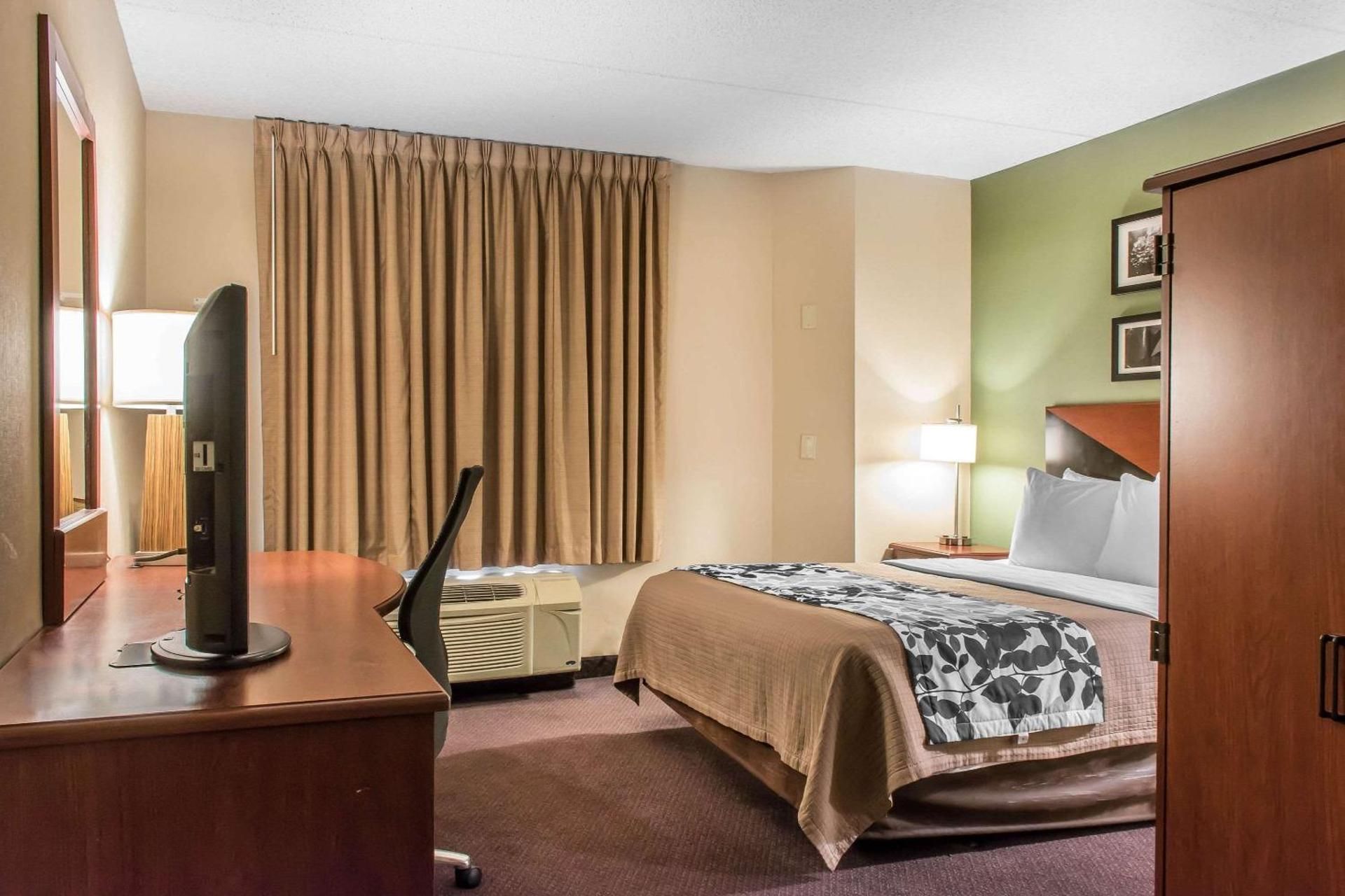 1 Queen Bed, Nonsmoking, Accessible
