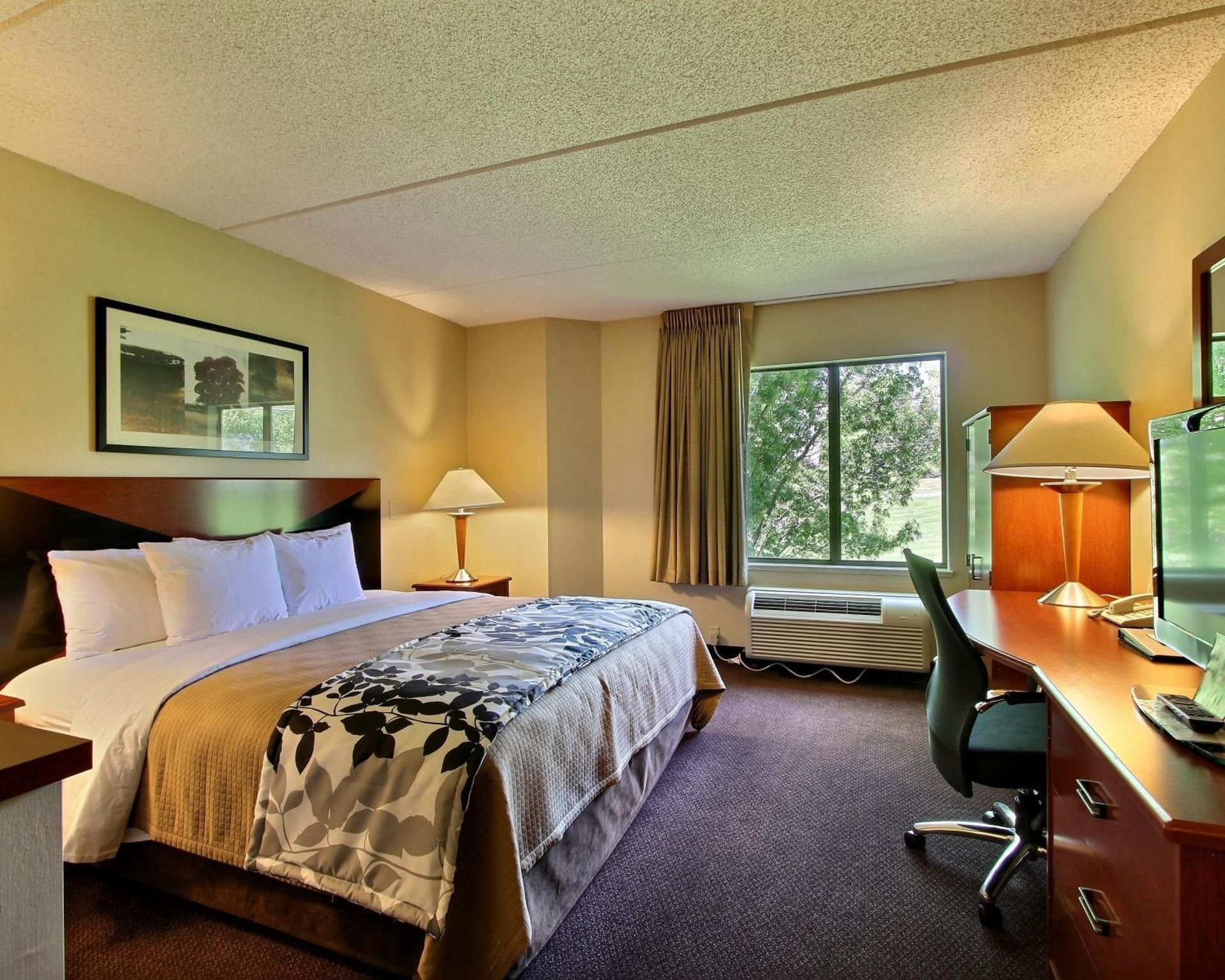 1 King Bed, Nonsmoking