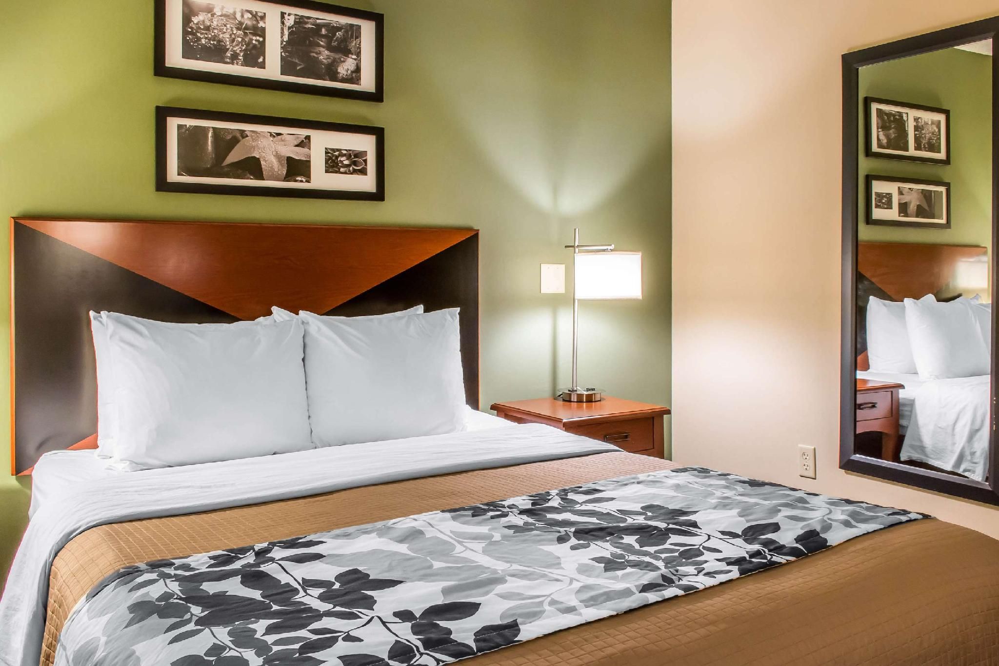 1 Queen Bed, Nonsmoking, Accessible