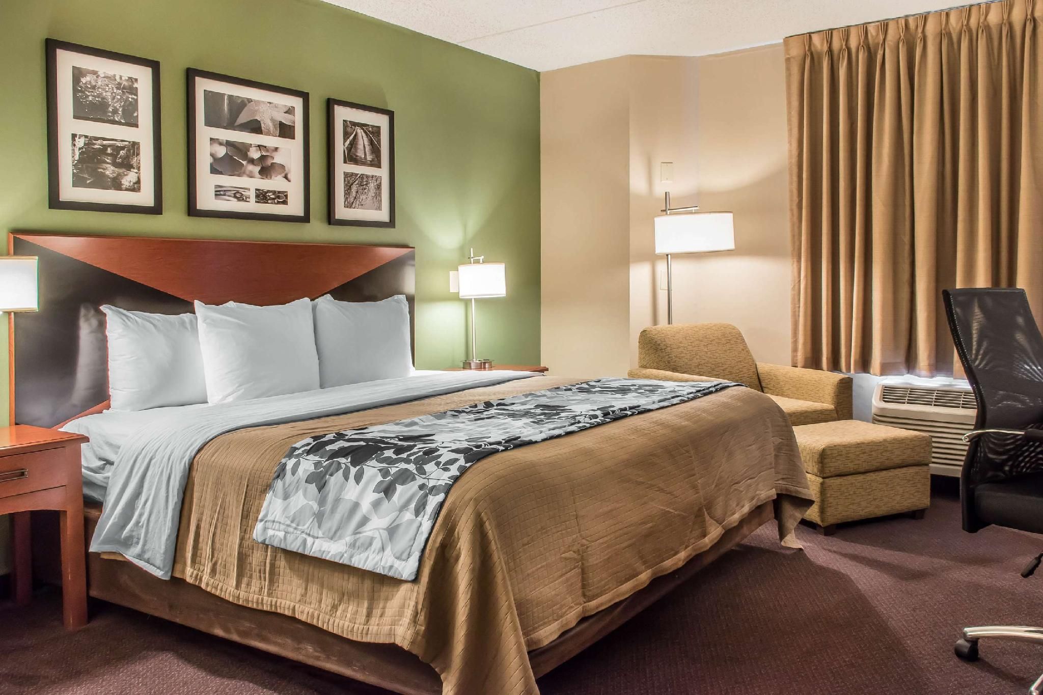 1 King Bed, Nonsmoking