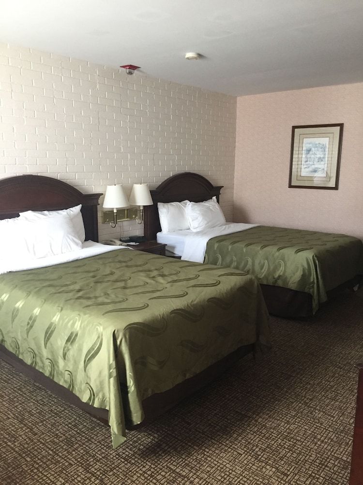 Standard Double Room, 2 Double Beds, Non Smoking