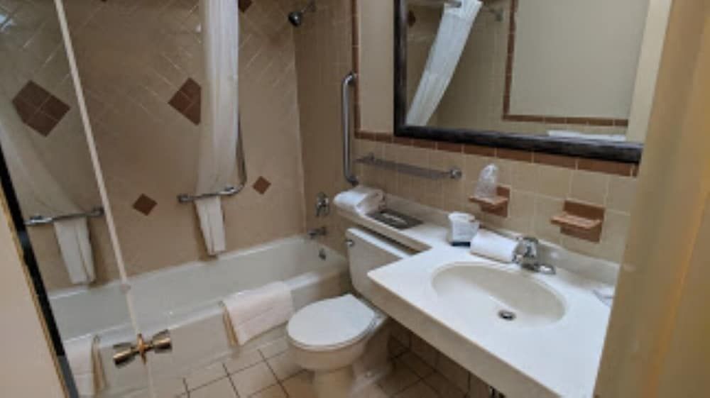 Room, 1 King Bed with Sofa bed, Accessible, Non Smoking