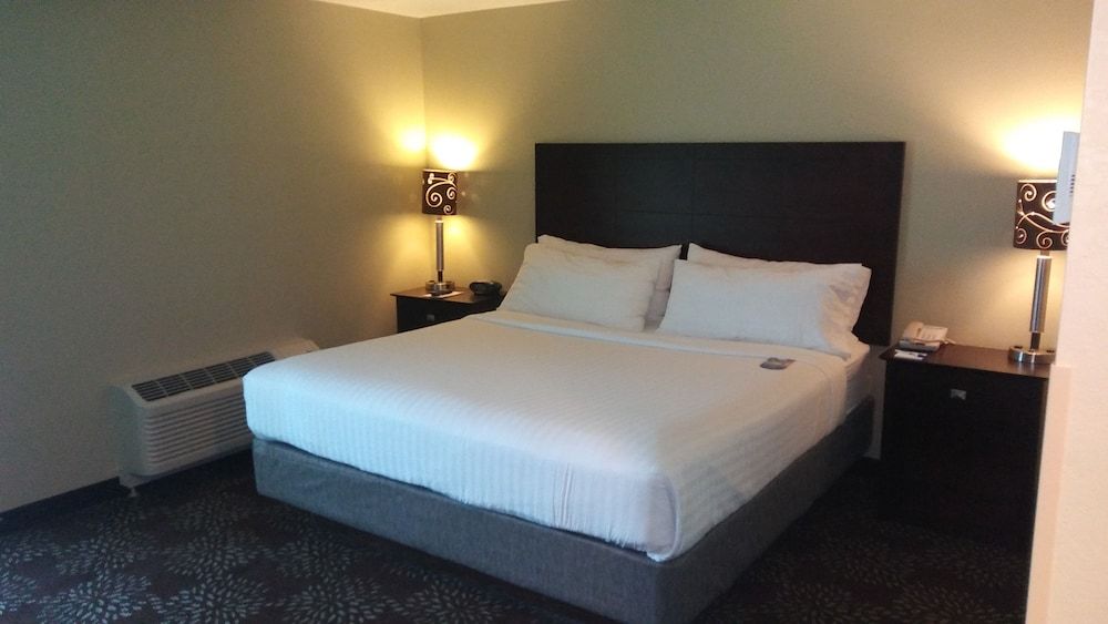 Suite, 1 King Bed with Sofa bed
