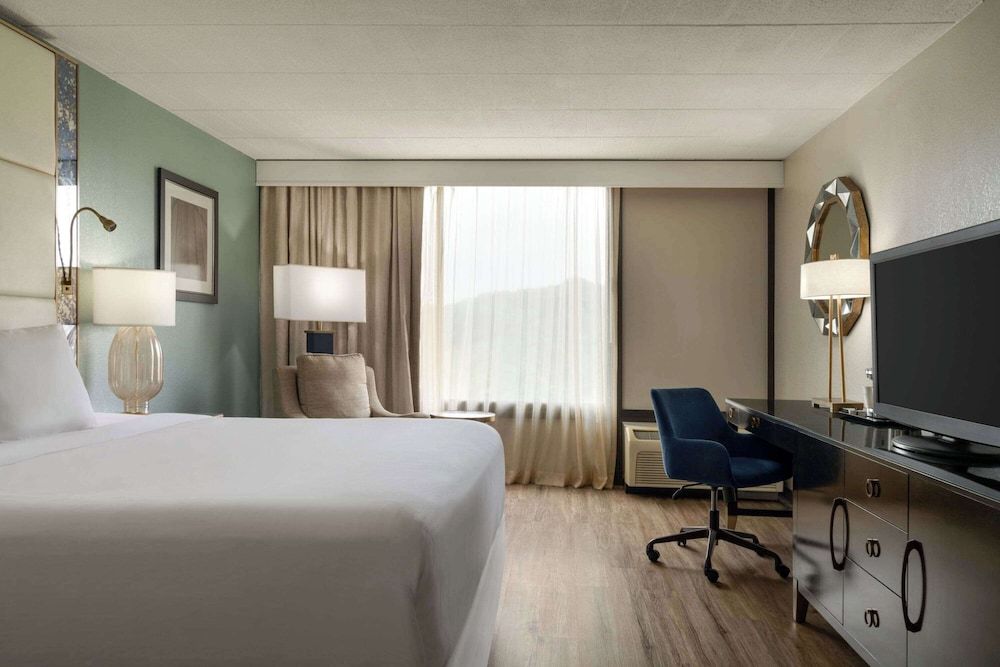 Wyndham Garden Pittsburgh Airport Room, 1 King Bed, Accessible, Non Smoking 6