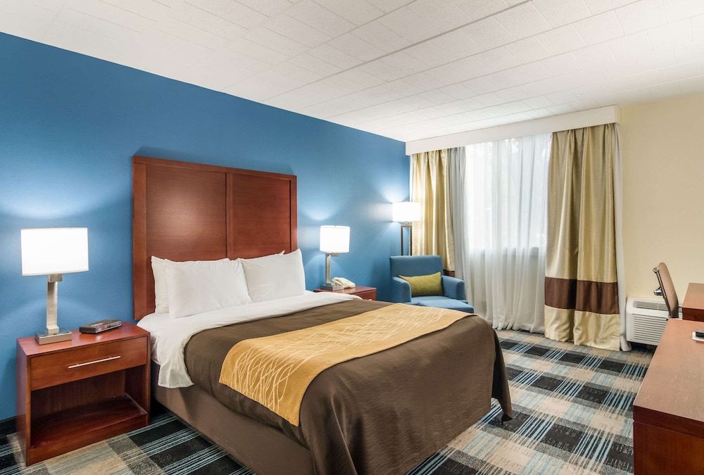 Comfort Inn & Suites Pittsburgh Fox Chapel Room, 1 Queen Bed, Accessible, Non Smoking 3