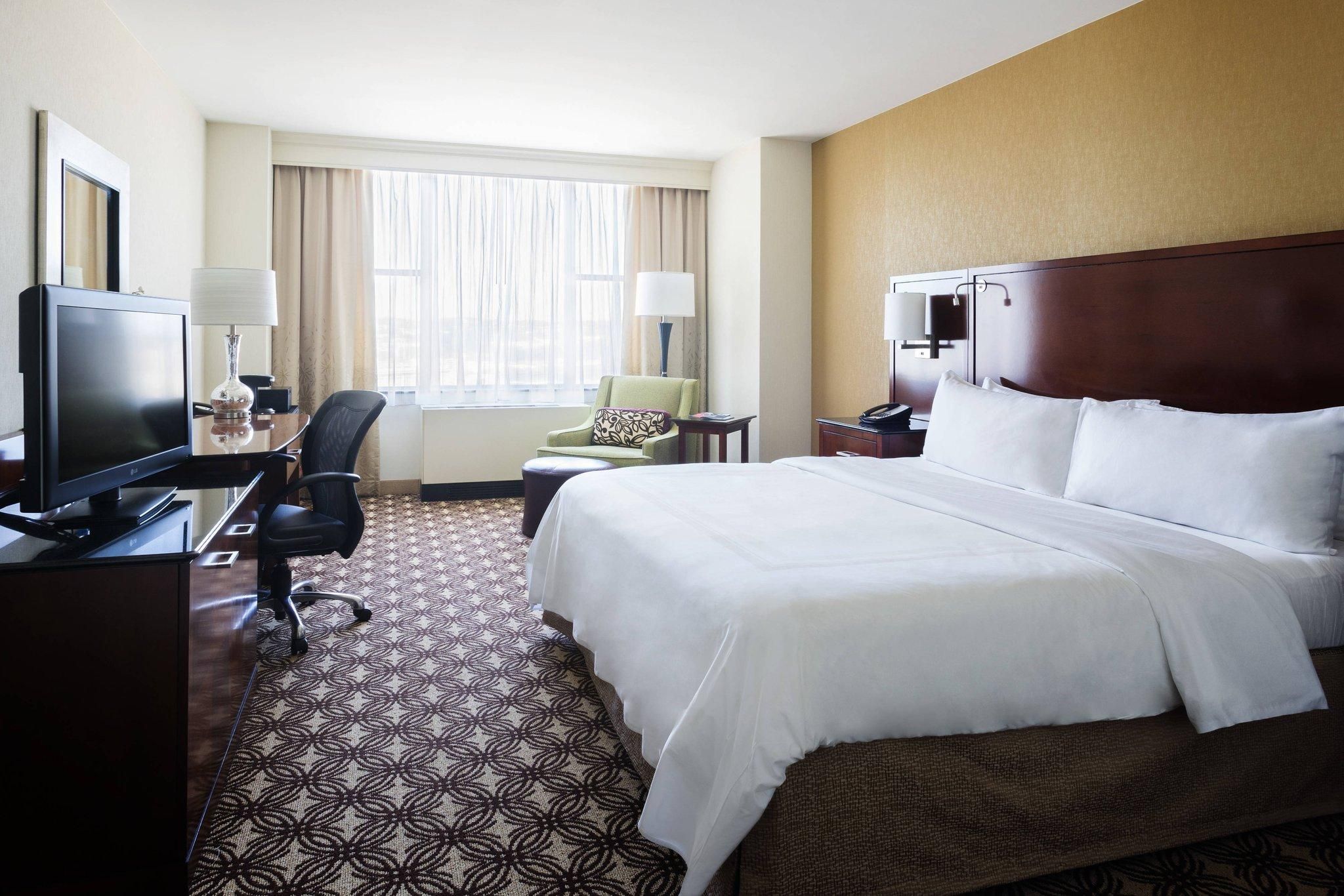 Deluxe King, Guest room, 1 King