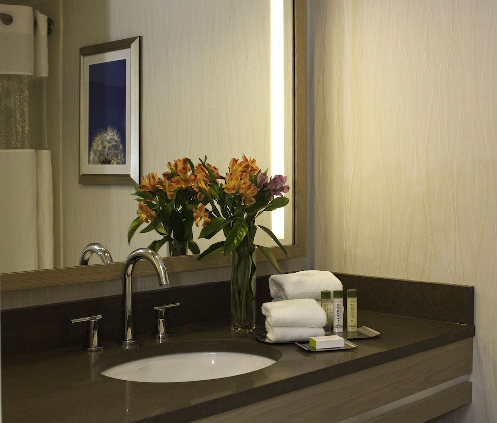 DoubleTree by Hilton Pittsburgh - Green Tree Room, 1 King Bed 8