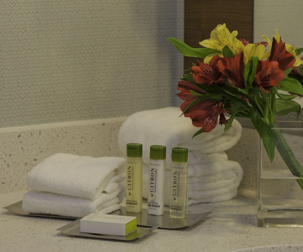 DoubleTree by Hilton Pittsburgh - Green Tree Room, 1 King Bed 8