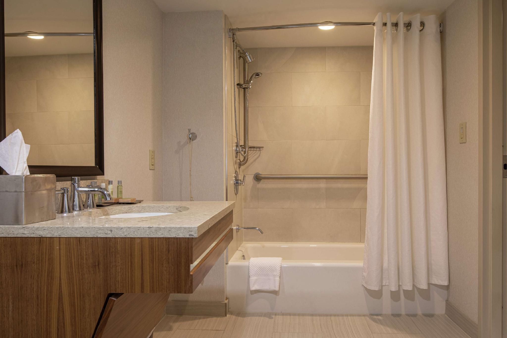 1 KING MOBILITY ACCESSIBLE W/ BATHTUB NO SMOK