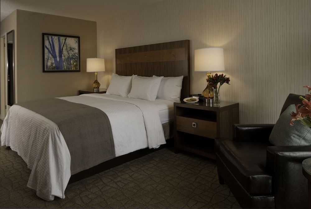 DoubleTree by Hilton Pittsburgh - Green Tree Room, 1 King Bed