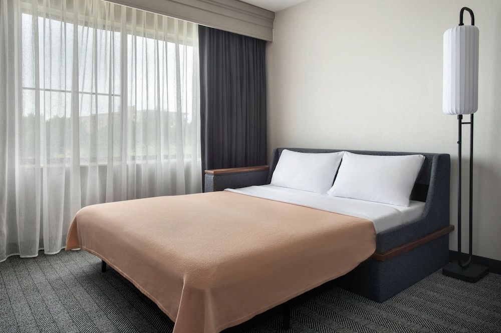 Room, 1 King Bed with Sofa bed (Hearing Accessible)