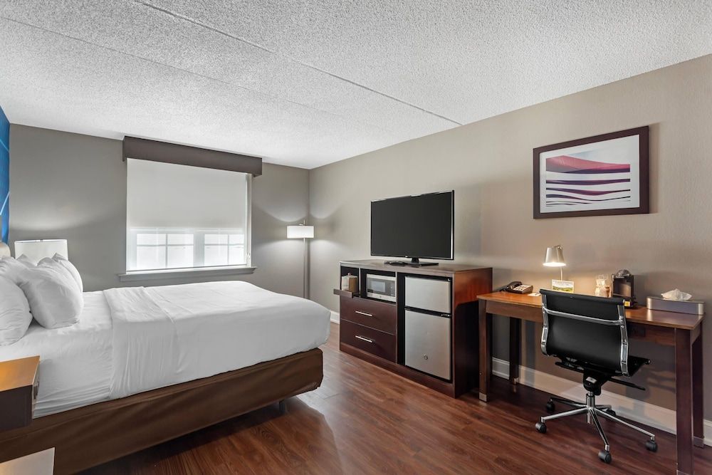 Standard Room, 1 King Bed, Non Smoking