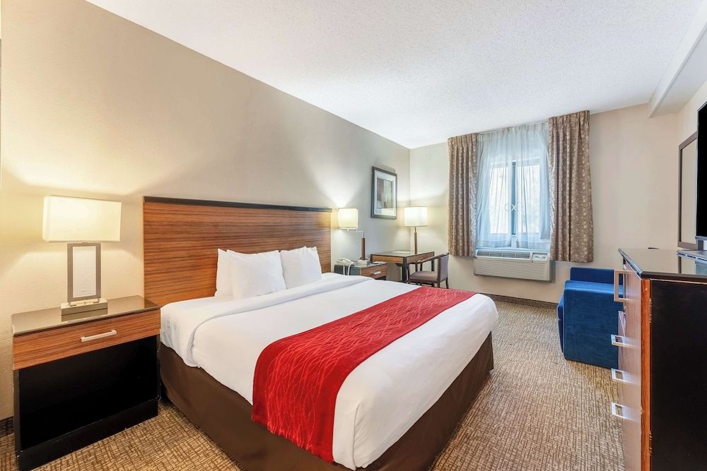 Standard Room, 1 King Bed, Accessible, Refrigerator & Microwave (with Sofabed)