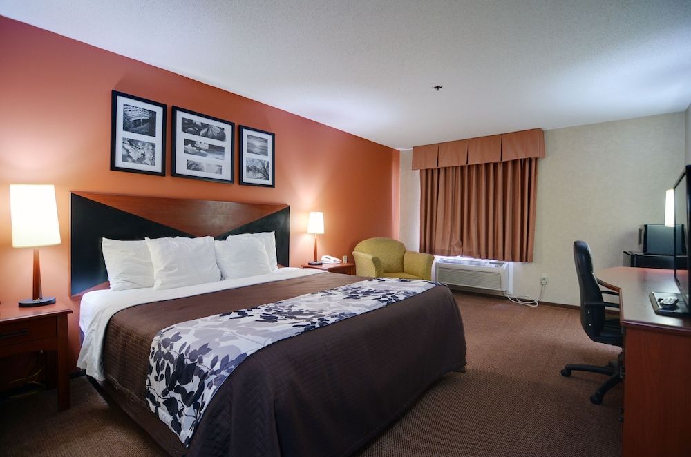 Standard Room, 1 King Bed, Non Smoking