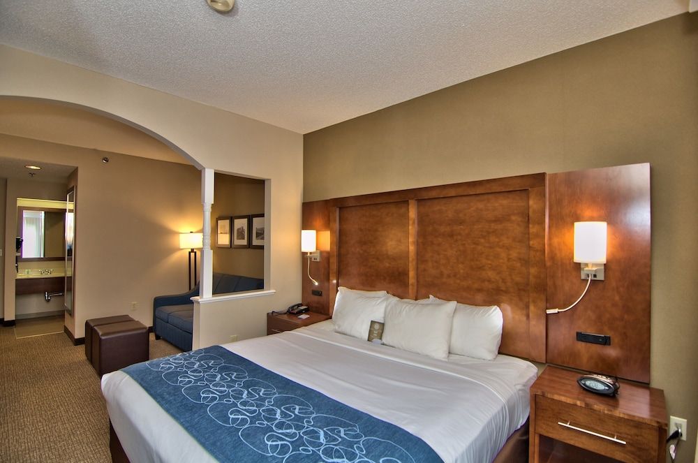Suite, 1 King Bed with Sofa bed, Accessible, Non Smoking