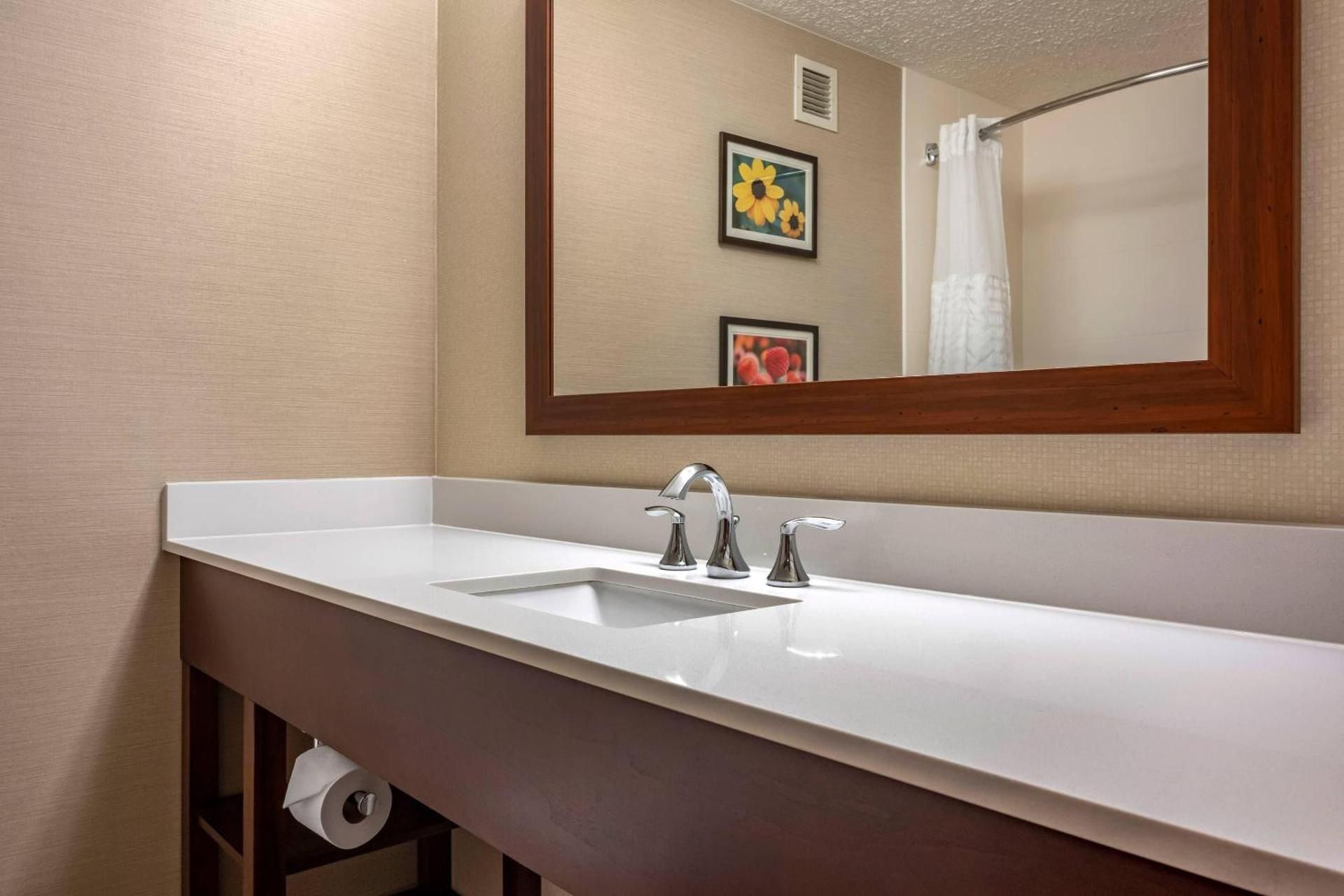 1 King Bed, Nonsmoking