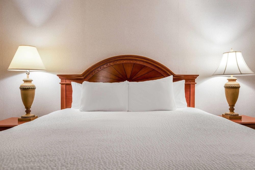 undefined Ramada by Wyndham State College Hotel & Conference Center 9