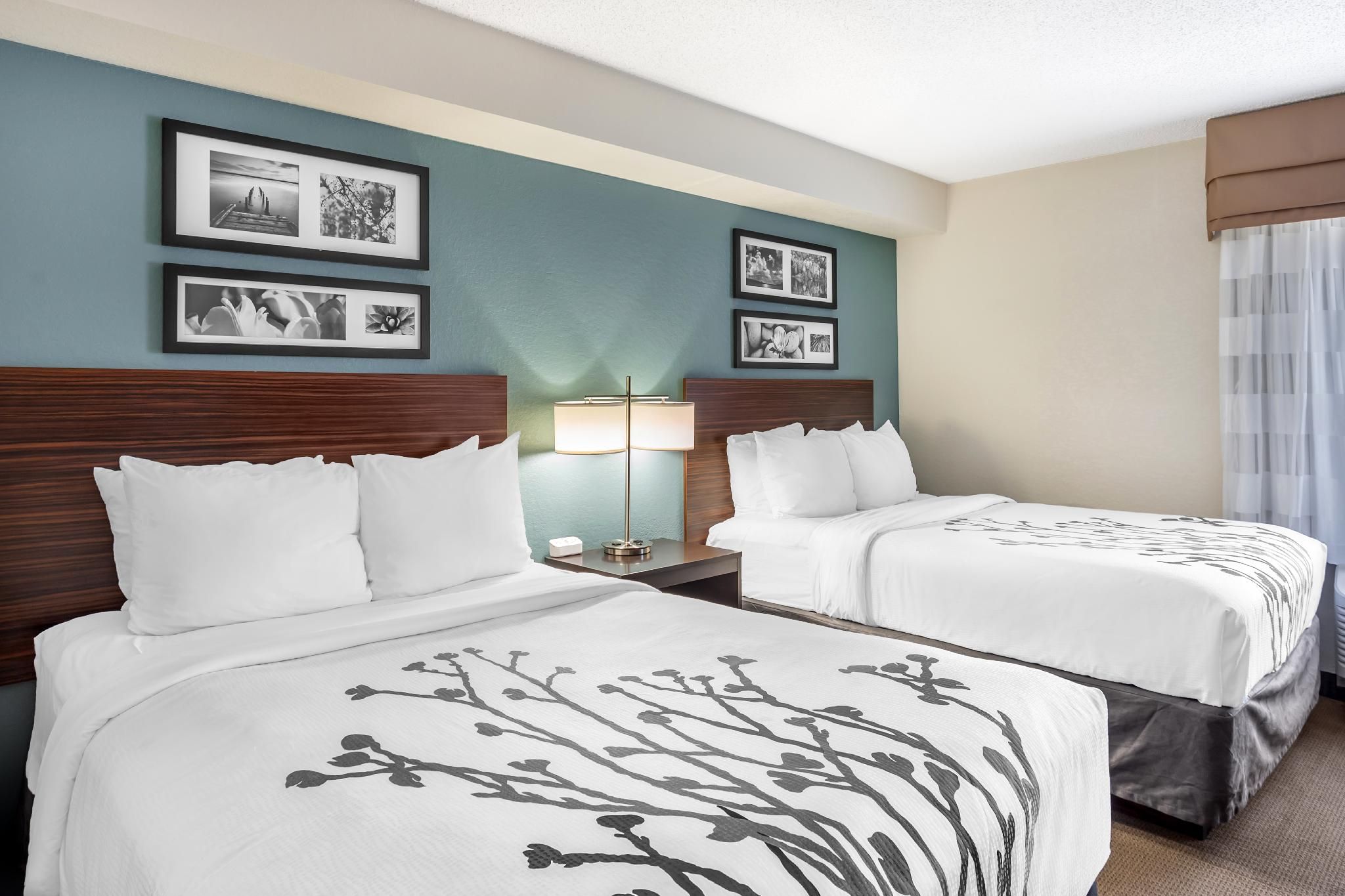 amenity (guest room)