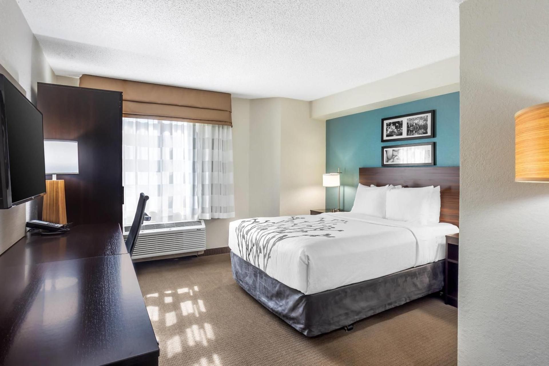 1 Queen Bed, Nonsmoking, Accessible