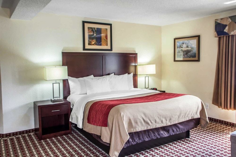 Room, 1 King Bed, Non Smoking