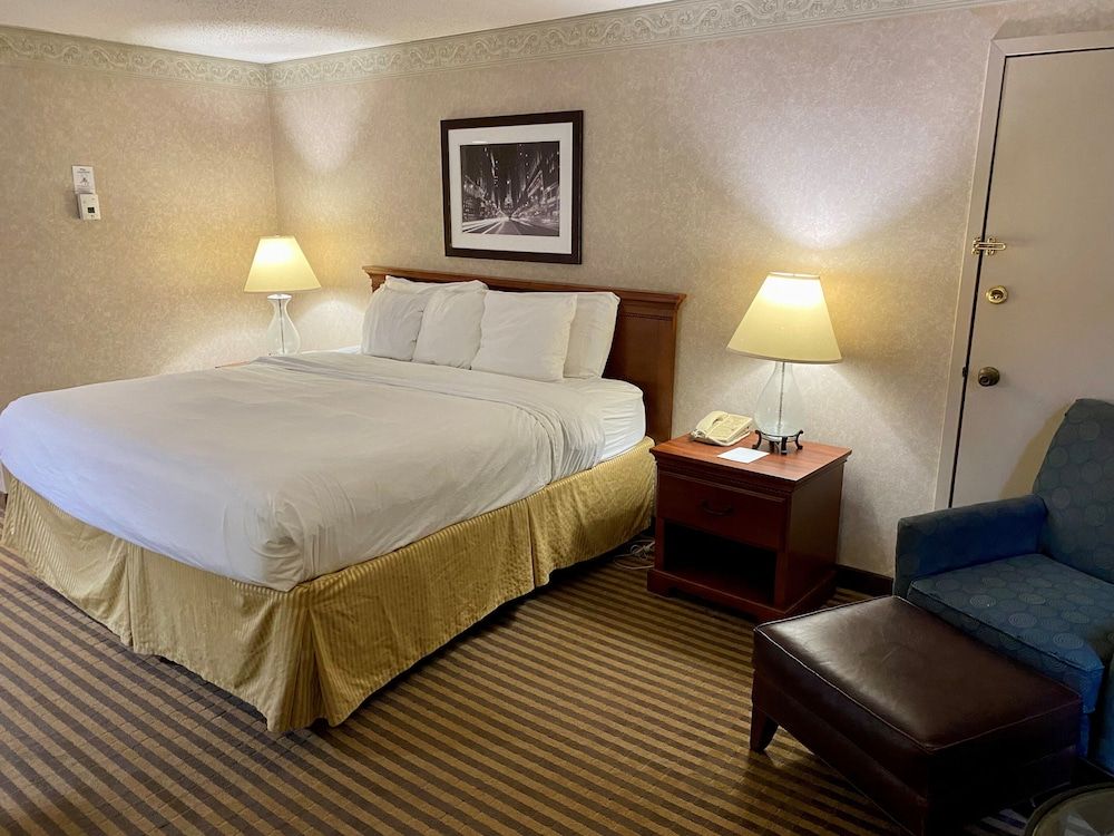 Room, 1 King Bed, Non Smoking