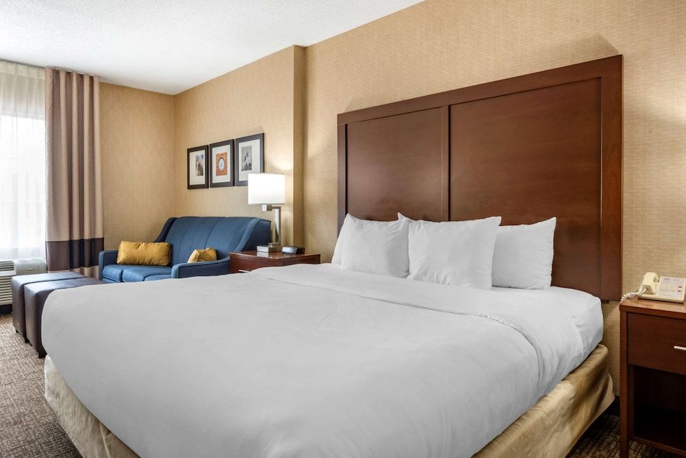 Standard Room, 1 King Bed, Non Smoking