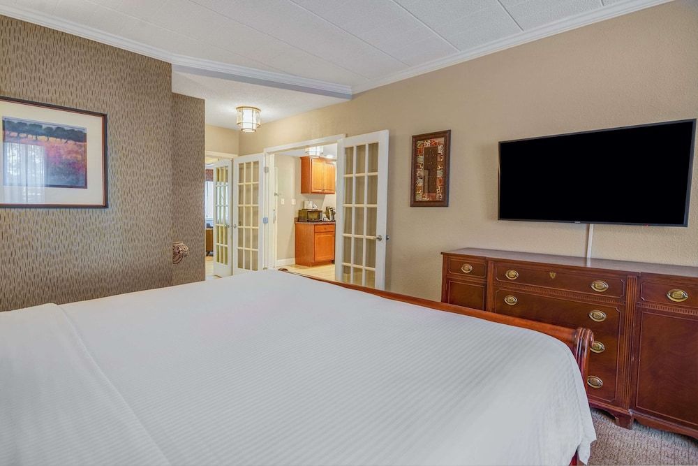 Suite, 1 King Bed with Sofa bed