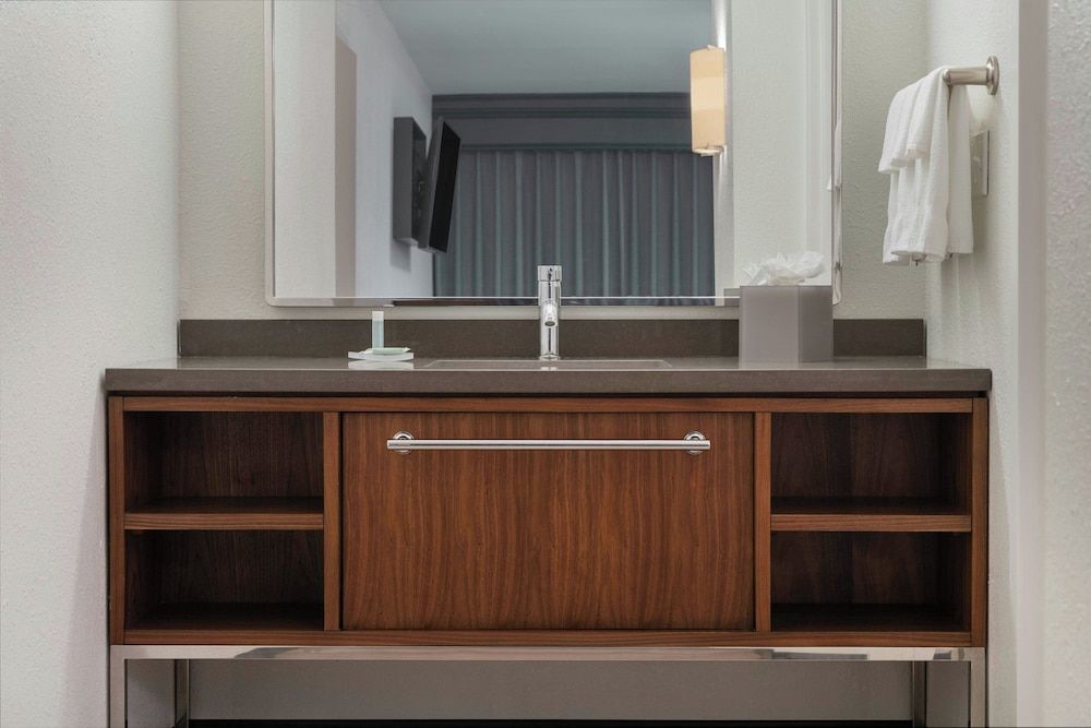 Suite, 1 King Bed with Sofa bed