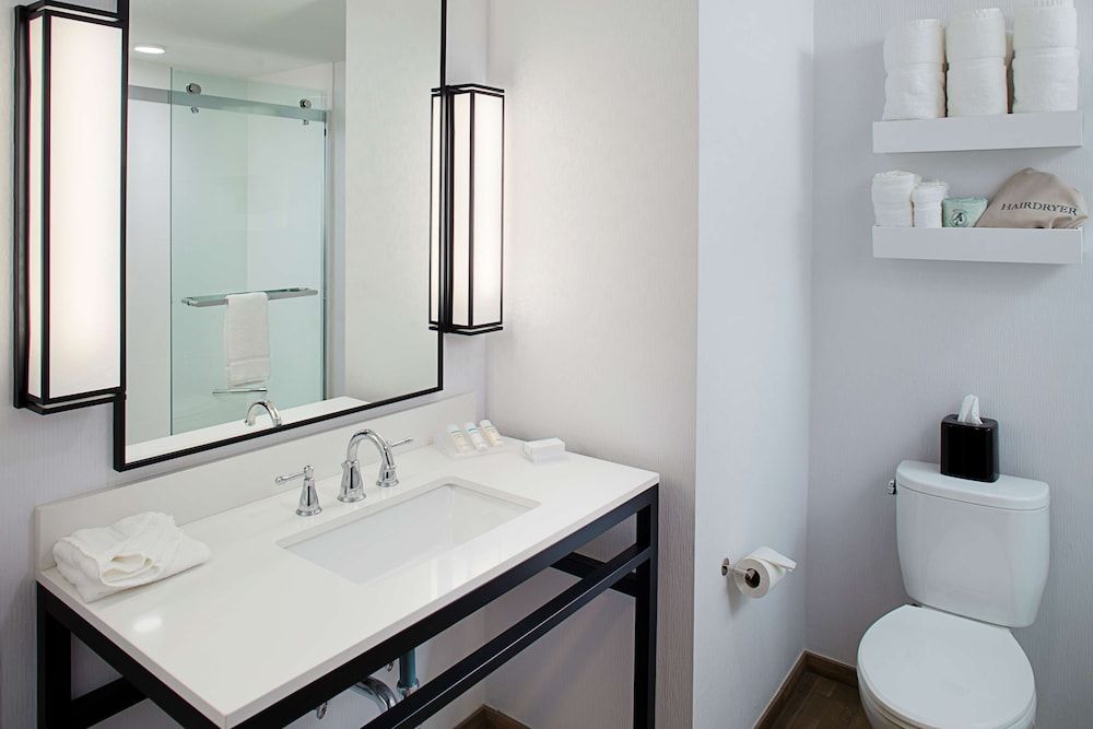 Suite, 1 King Bed, Accessible, Non Smoking (rollin shower)