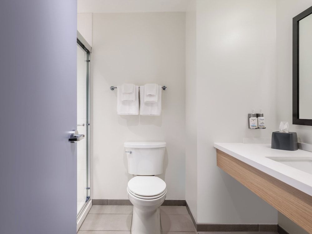 Room, 1 King Bed, Roll-in Shower (Communications, Mobility Access)