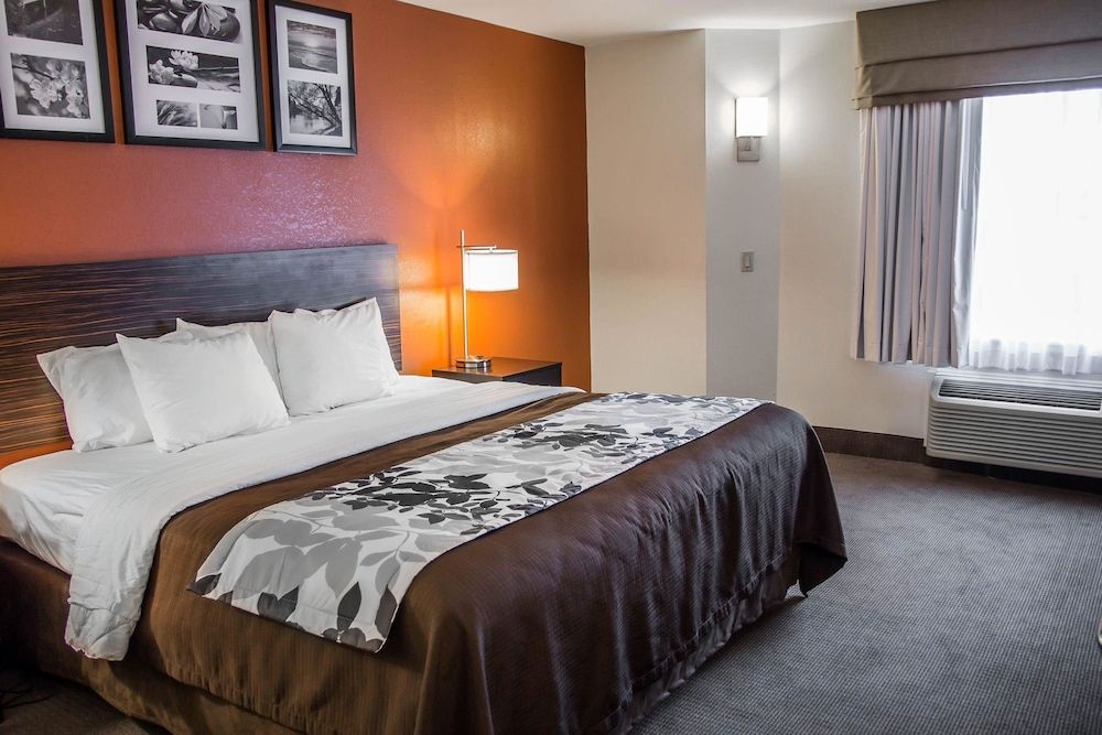 Room, 1 Queen Bed, Non Smoking