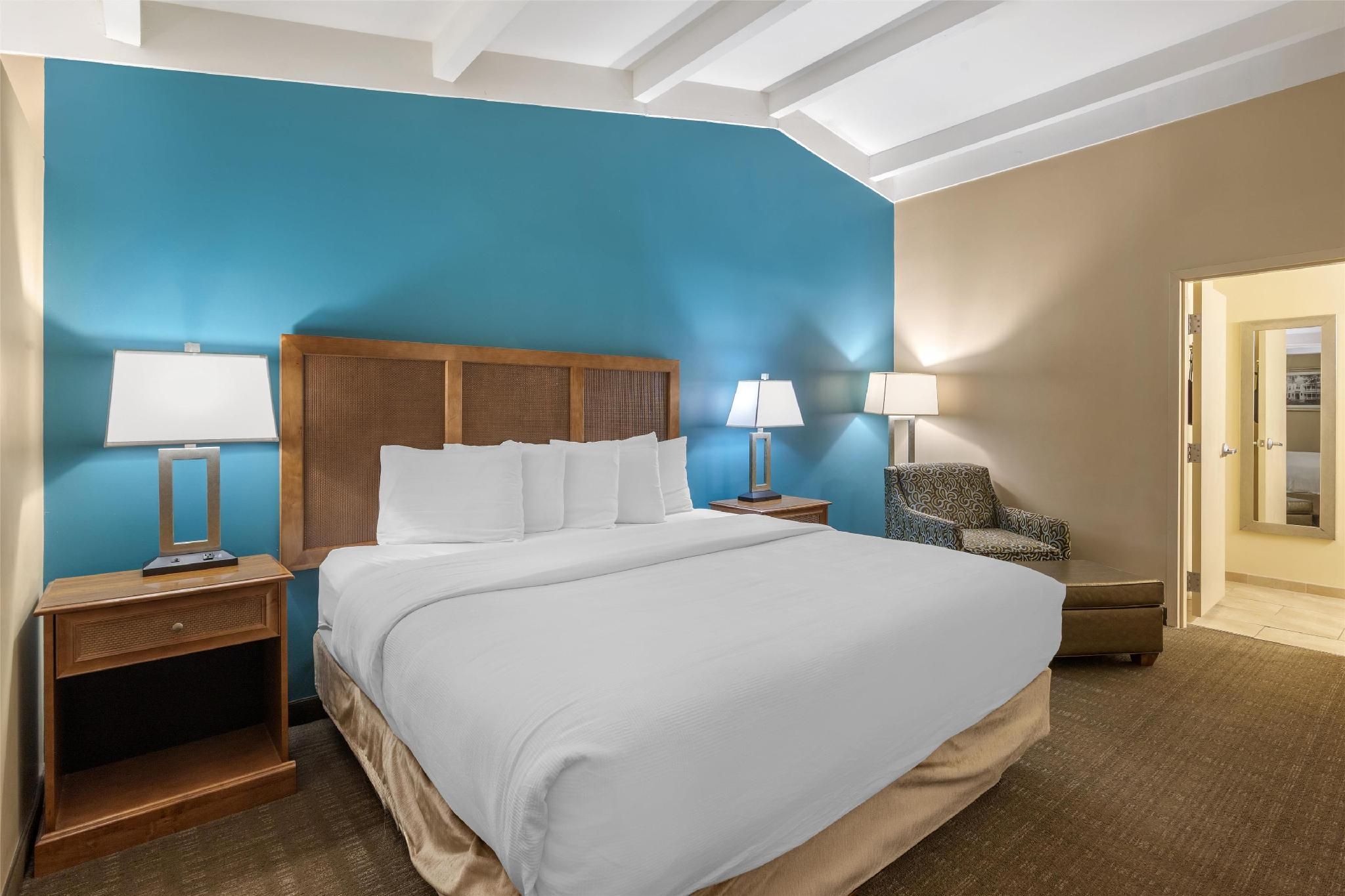 Suite - 1 King Bed, Nonsmoking, Sofabed, Separate Living Area