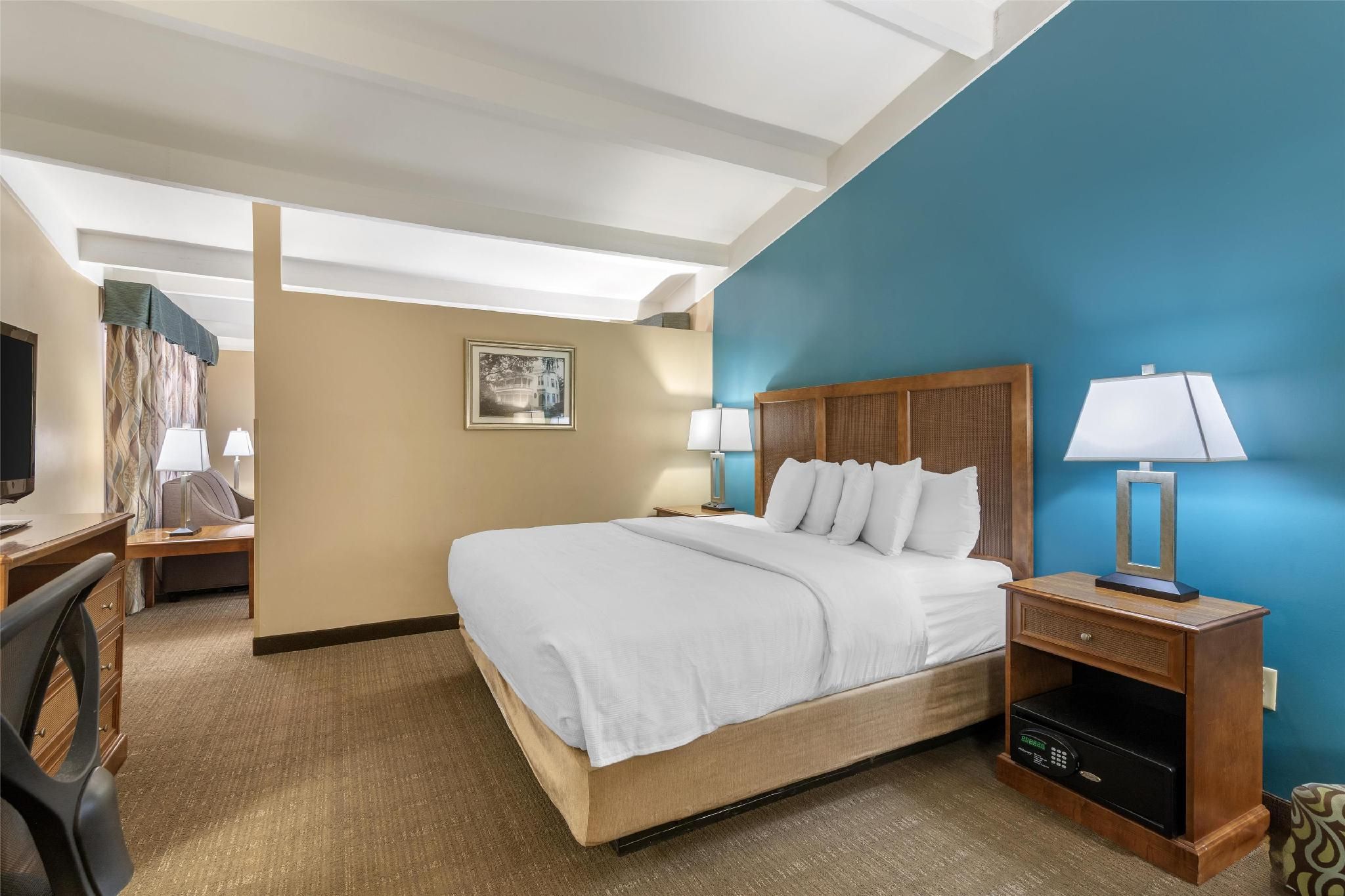 Suite - 1 King Bed, Nonsmoking, Sofabed, Separate Living Area