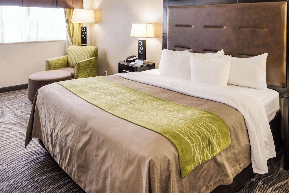 Standard Room, 1 King Bed, Non Smoking